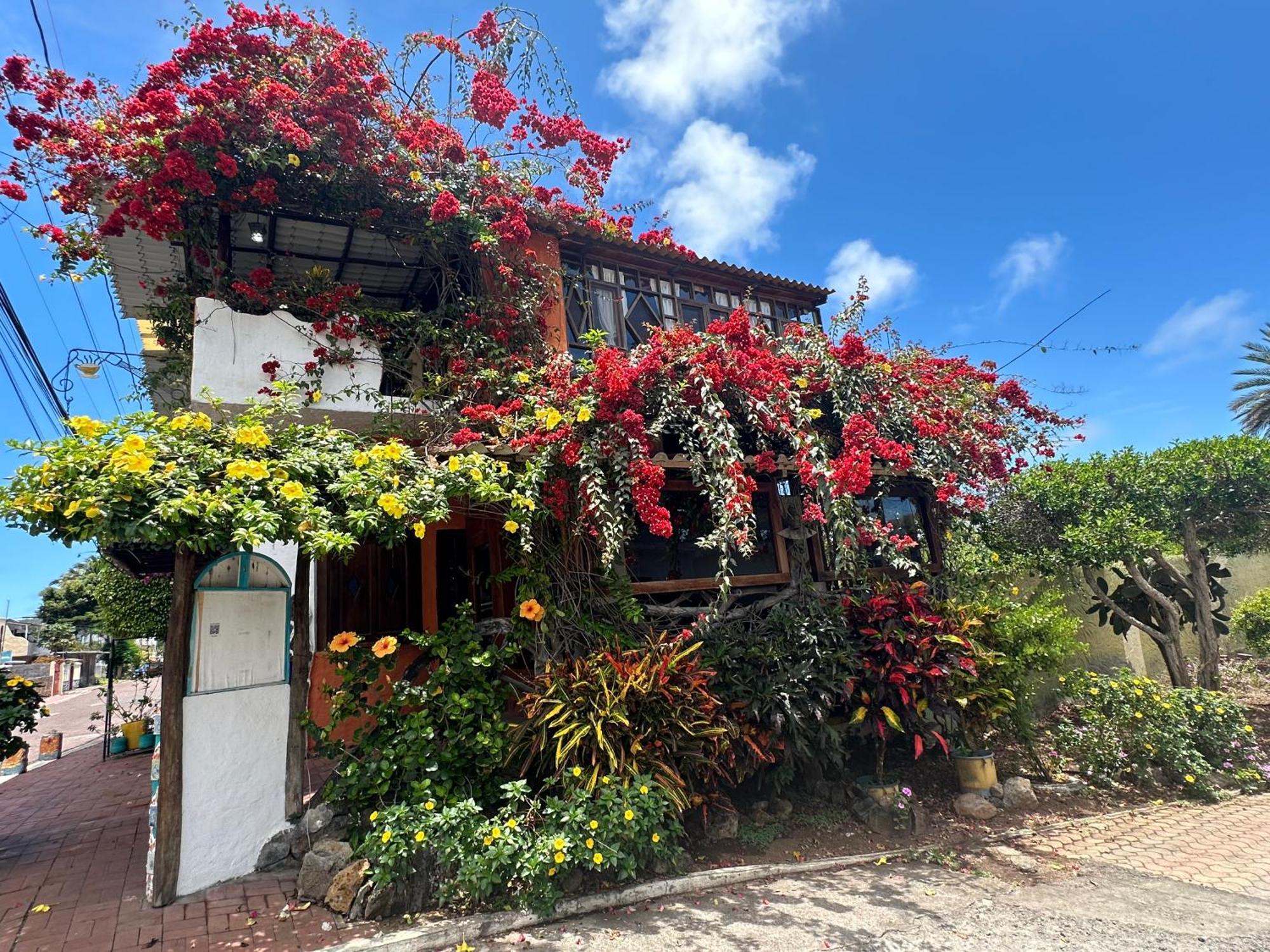 Casa del Lago Lodging House Puerto Ayora  Exterior foto